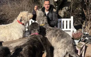 Ministerstvo zvířat - domov pro ty, na které svět zapomněl