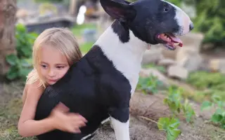 Zázraky se dějí! Pomozme našemu psímu klukovi zdolat nádor