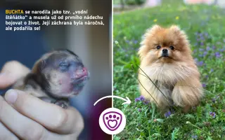 Každá kapka má smysl! Přiveďte vodu do centra pro handicapovaná zvířata
