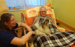 Canisterapie CANTES v krajích ČR jako sociální rehabilitace