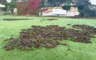 Oplocení fotbalového hřiště proti divokým prasatům