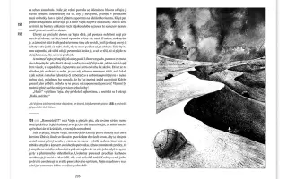 Gamebook o podivném hotelu, němém hrobníkovi a Brně