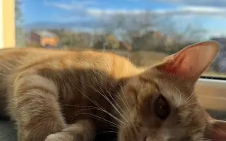Pomozme Teovi znovu chodit bez bolesti