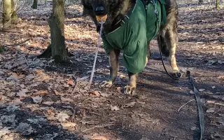 Pomoc Furině v boji s lupusem (SLE)