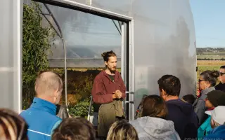 Dejte druhou šanci pro ovčí stádo