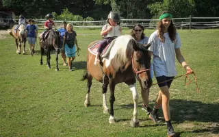 Nový kůň do hiporehabilitačního týmu