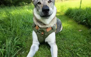 Pro Eli 🩷 Prosím, pomozte nám ji znova rozběhat.