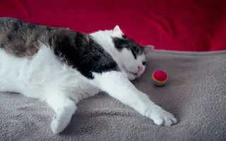 Veliký Nero má veliký nádor v hlavičce