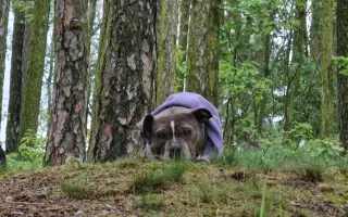 Pomozme Ele opět poznávat svět