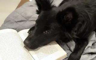 Ari přežila poušť. Teď ji ničí bolest...