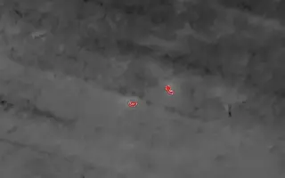 Létající záchranář – DRON na záchranu srnčat a dalších mláďat před sečením