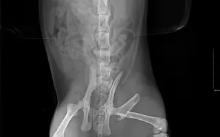 Rio to nevzdal: Pomozme mu zpátky na nohy!