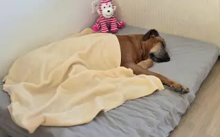❤️ Celý život tu byla pro mě. Teď prosím o pomoc pro ni.