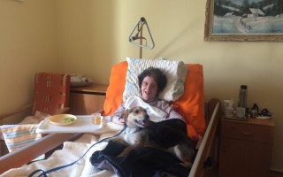 Canisterapie CANTES v krajích ČR jako sociální rehabilitace