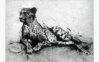 Podpořte knihu JAK SE DĚLÁ ZOO a vyražte s bývalým ředitelem do zoo!