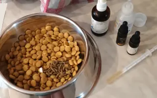 Léčba, která nekončí - Fůrie