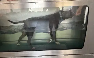 Amin by si přál zase běhat s kamarády