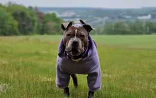 Pomozme Ele opět poznávat svět