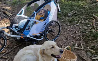 Doplatek na auto pro Maxíčka s DMO