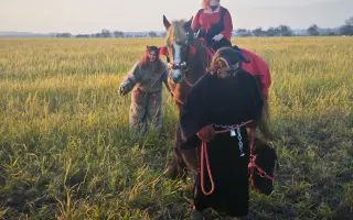 Pomozme zachovat Dvůr poslední šance