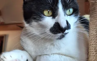 8 nalezených Lásek