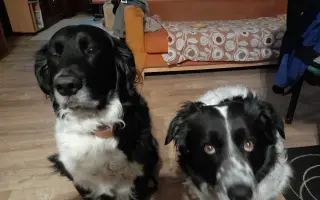 Šance na zrak pro Tedyka