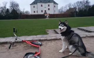 Velká šance pro bojovnici Kačku