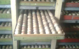 Pomozme společně obnovit zničenou farmu a živobytí farmáře Vládi!