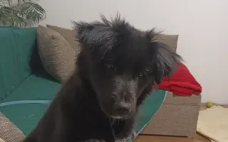 Pomoc pro Lilinku, která bojuje o život.