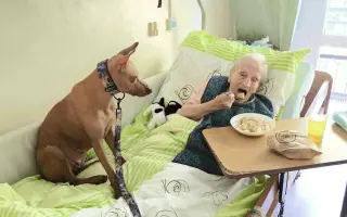 Pomoc pro Nyu - naši bojovnici ❤️