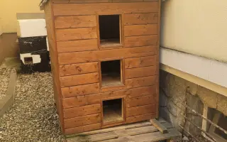 Šance na život pro Ouška a další kočičky z našeho depozita