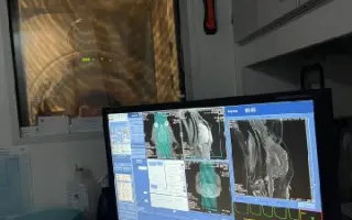 POMOC PRO FOXÍČKA, ASPENA A TAFFY-JACKA