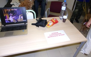 Canisterapie CANTES v krajích ČR jako sociální rehabilitace