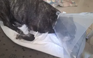10 let nestačí – pomozme Mailovi dál❤️