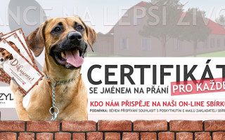 Pomozme spolku PES nejvěrnější přítel vybudovat Azyl pro zachráněné psy