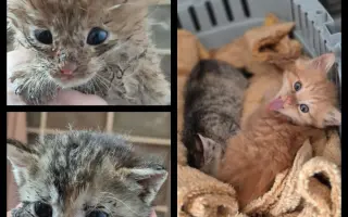 Jeden prostor navíc, stovky šancí na život