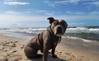 Pomozme Ele opět poznávat svět