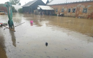 Naléhavá žádost o pomoc pro koně zasažené povodní