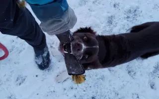Pomozte Lokimu žít plnohodnotný život