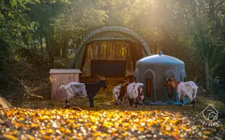 Pomůžete nám naplnit bříška hospodářským zvířátkům