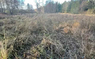 Pomoc s úhradou právních nákladů