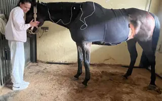 Pomozte zachránit Gryffiho život