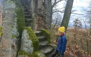 Pomozte zachránit Harryho