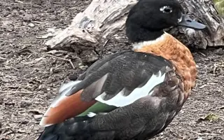 Pomozme společně obnovit zničenou farmu a živobytí farmáře Vládi!