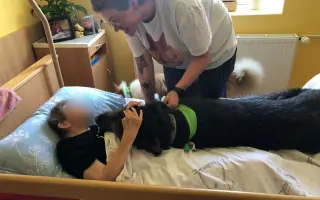 Canisterapeutický vlkodav Mlok