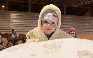 Pomozte nám postavit trojbox pro ustájení hiporehabilitačních koní DORADO z. s.