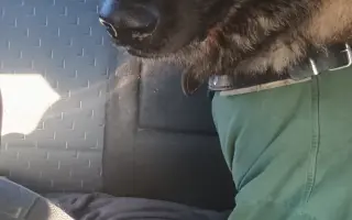 Pomoc Furině v boji s lupusem (SLE)