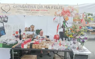 Zachraňte auto pro chráněnou dílnu FELIS