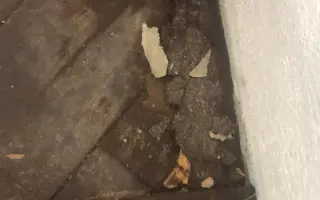 Voda, ztráta a nový začátek: Příběh naděje po povodni