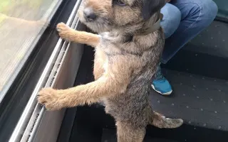 Pomozte Vojtíškovi s ADHD k vysněné IN Kartě